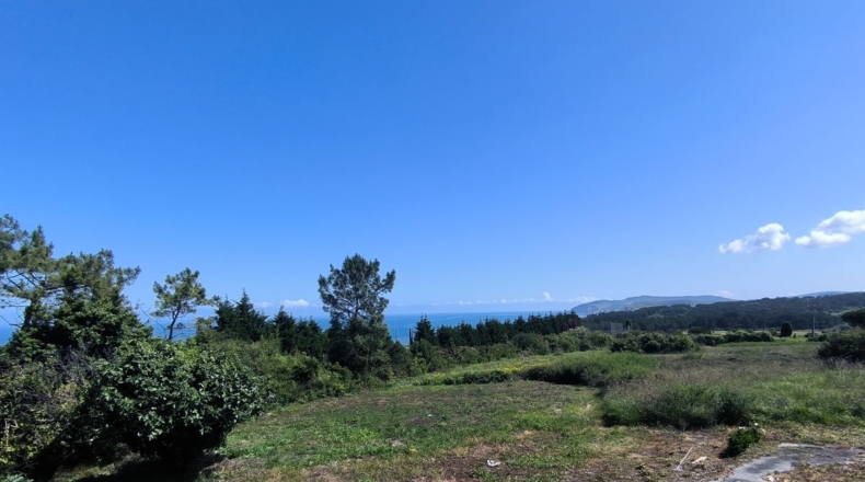 Biscay - Guecho - 13200m2