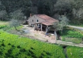 Rural estate for sale on España, Santa María de Cayón, ref: TR184929 photo