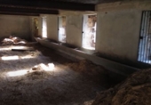 Rural estate for sale on España, Santa María de Cayón, ref: TR184929 photo