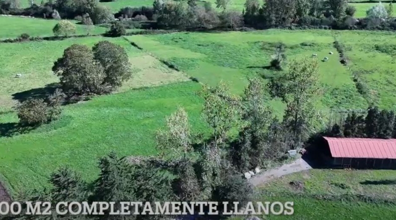 Cantabria - Villacarriedo - 56338m2
