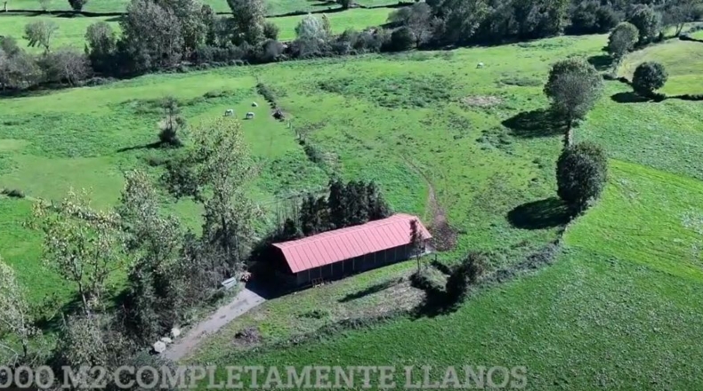 Cantabria - Villacarriedo - 56338m2
