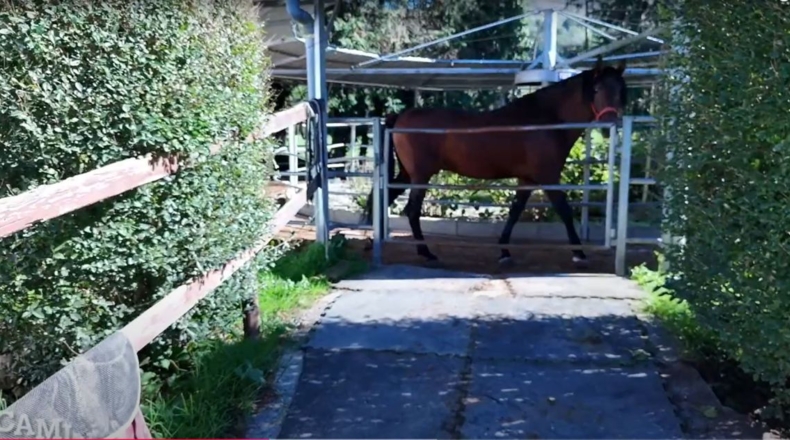 Cantabria - Villacarriedo - 56338m2