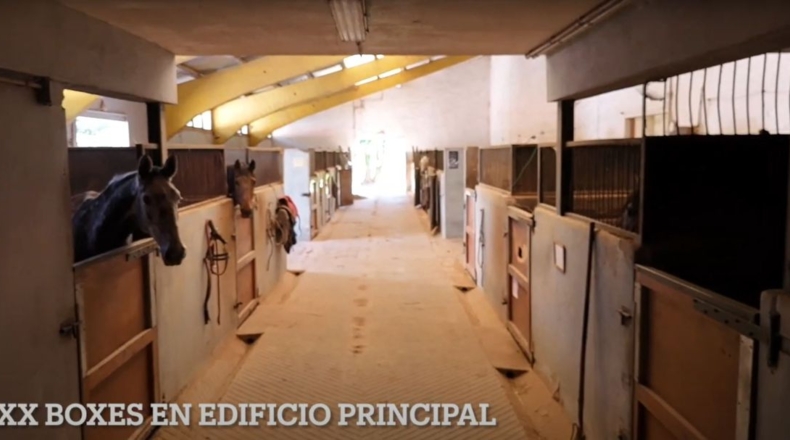 Cantabria - Villacarriedo - 56338m2
