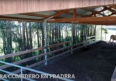 Finca rústica en venta en la España, Villacarriedo, ref: TR184295 foto