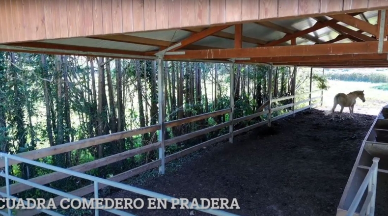 Cantabria - Villacarriedo - 56338m2