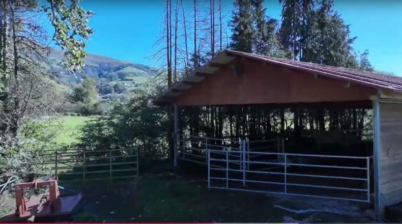 Cantabria - Villacarriedo - 56338m2