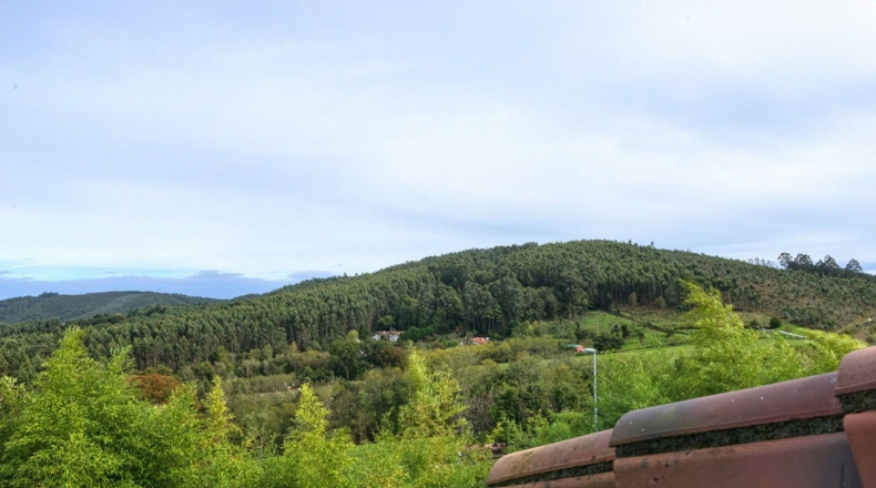 Biscaia - Lemoiz - 829m2