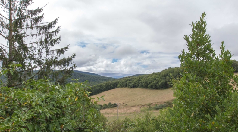 Navarre - Gascue - 5106m2