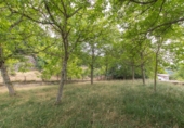 Finca rústica en venta en Eguíllor ref: TR342240 foto
