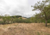 Finca rústica en venta en Eguíllor ref: TR342240 foto