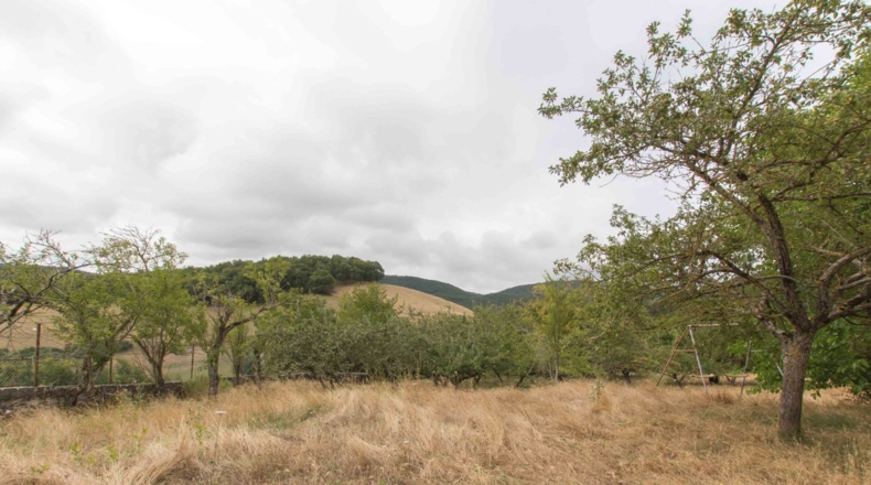 Navarre - Gascue - 5106m2