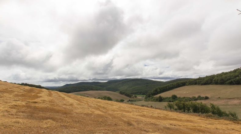 Navarre - Gascue - 5106m2