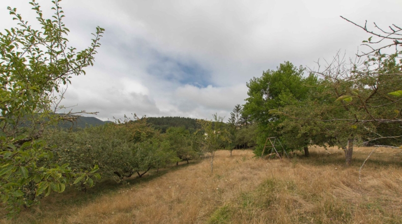 Navarre - Gascue - 5106m2