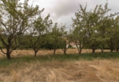 Finca rústica en venta en Eguíllor ref: TR342240 foto