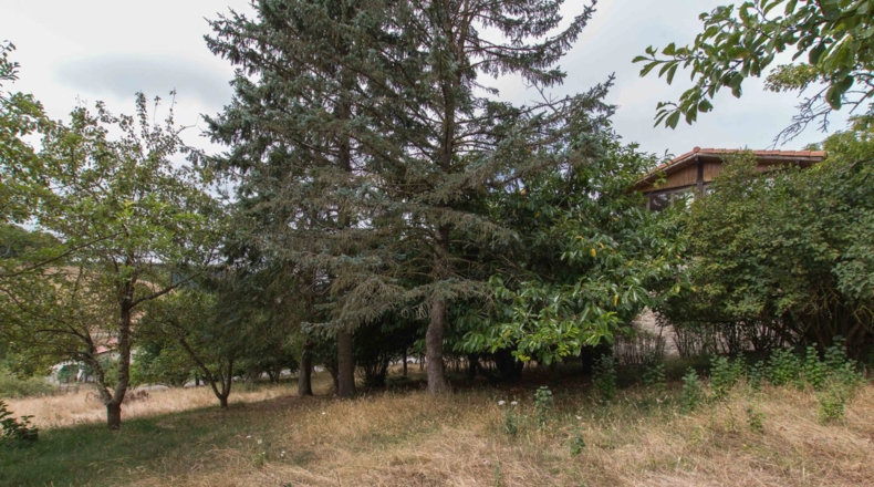 Navarre - Gascue - 5106m2