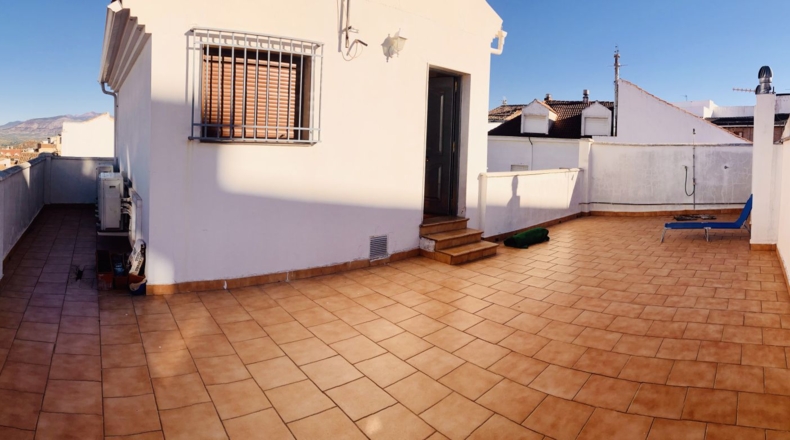 Jaen - Jaén - 295m2