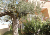 Detached villa with land for sale in Oyón ref: TR29139 photo