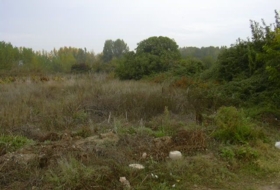 Alberite 3765&nbsp;m² 