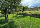 Xalet independent amb terreny en venda a Agoncillo ref.: TR188889 foto