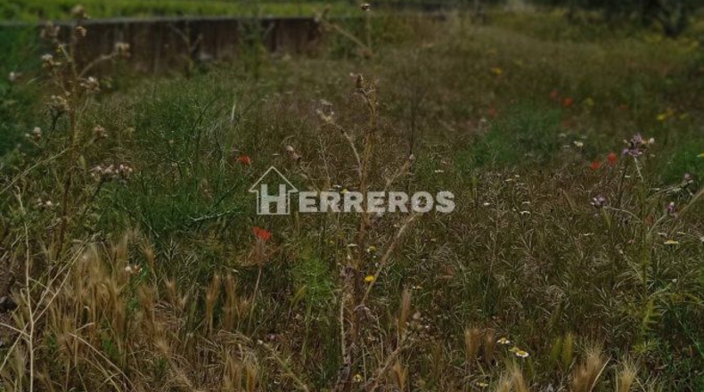 La Rioja - Lardero - 4950m2