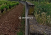 Terreny no urbanitzable en venda a Lardero ref.: TR306517 foto