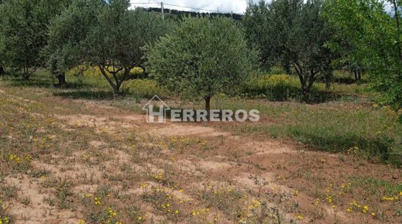 La Rioja - Lardero - 4950m2