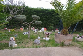 Foto 6