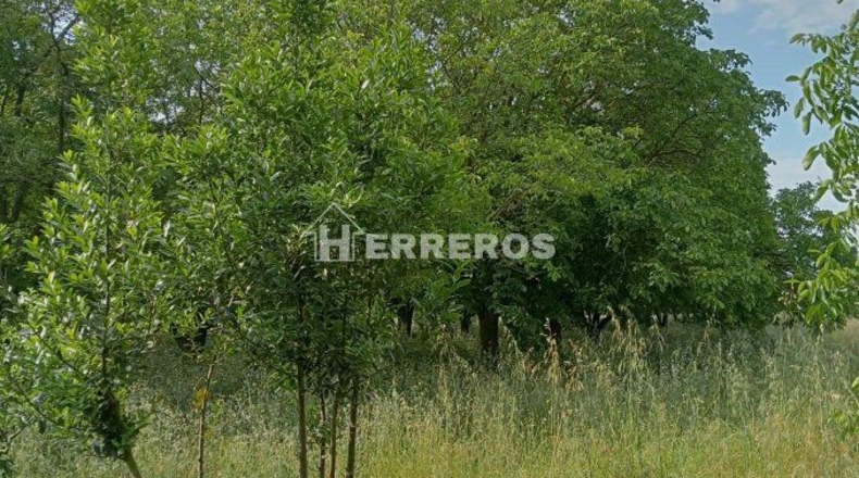 La Rioja - Arrúbal - 7000m2