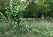 Finca rústica en venda a Arrúbal ref.: TR234452 foto
