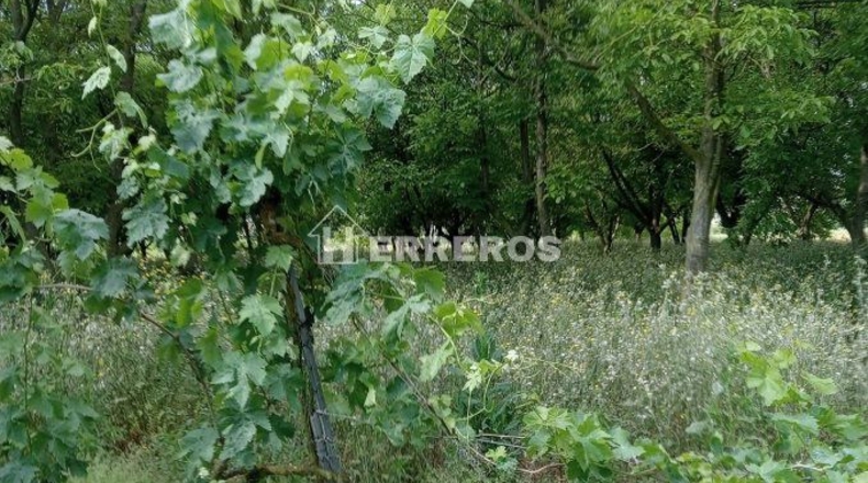 La Rioja - Arrúbal - 7000m2