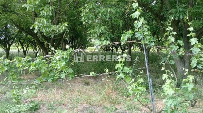 La Rioja - Arrúbal - 7000m2