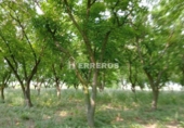 Finca rústica en venda a Arrúbal ref.: TR234452 foto