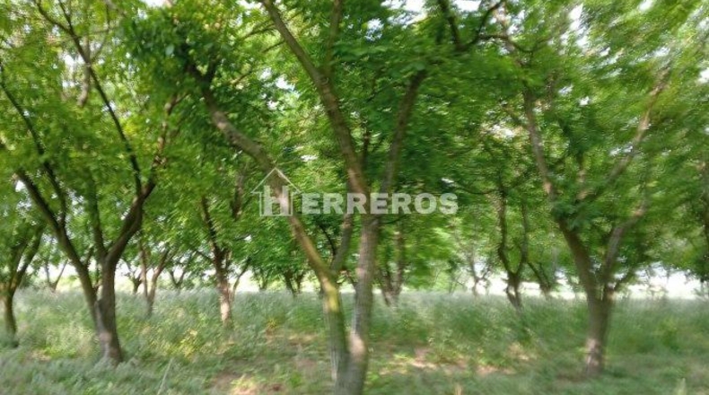La Rioja - Arrúbal - 7000m2