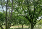 Finca rústica en venda a Arrúbal ref.: TR234452 foto
