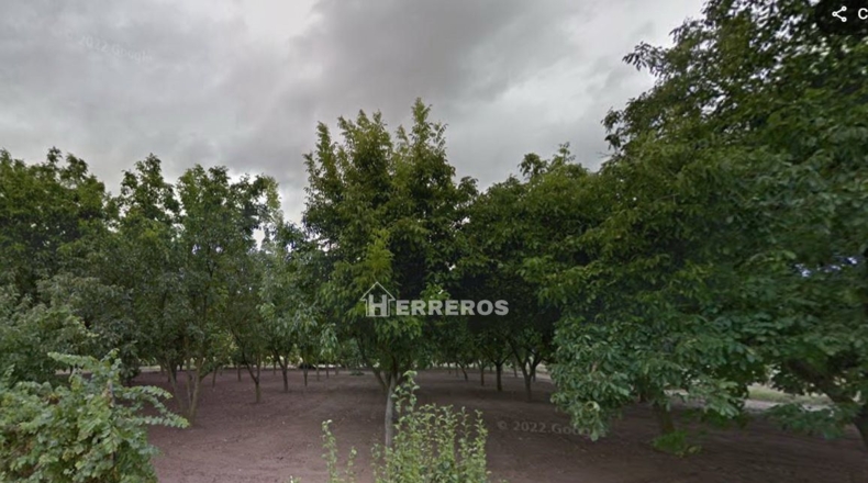La Rioja - Arrúbal - 7000m2