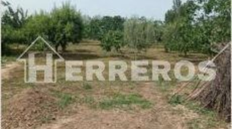 La Rioja - Villamediana de Iregua - 2475m2