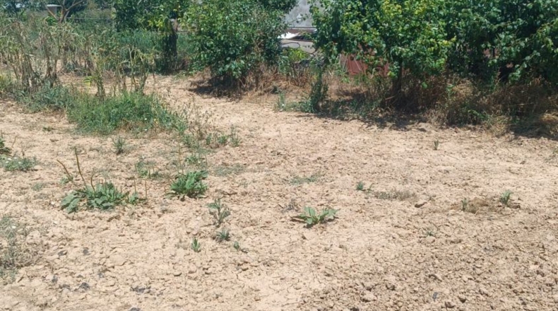 La Rioja - Logroño - 2700m2