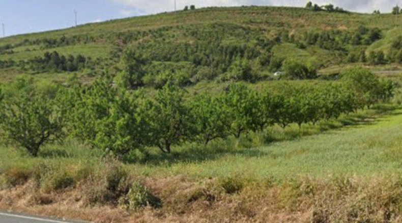 La Rioja - Agoncillo - 1375m2