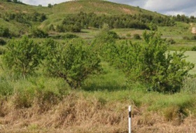 Agoncillo 1375&nbsp;м²