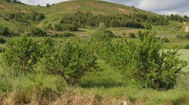 La Rioja - Agoncillo - 1375m2
