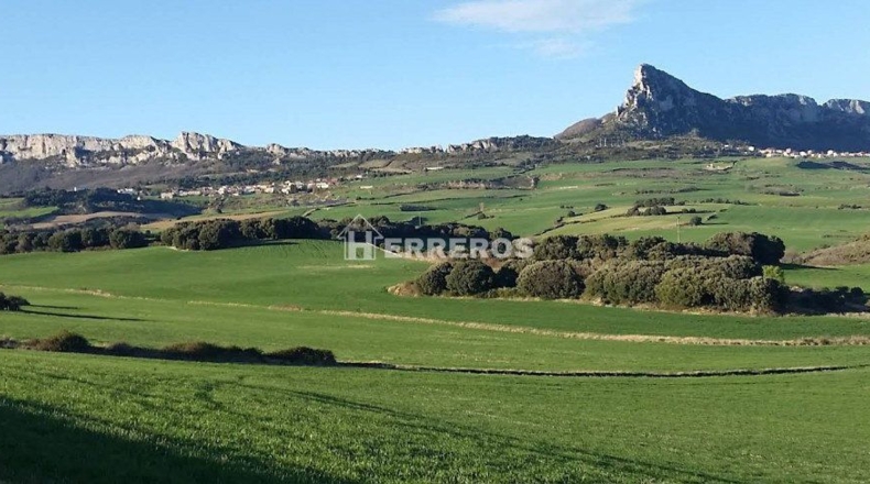 Alava - Lanciego - 200m2