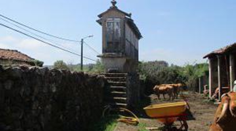 Lugo - Amarante - 600m2
