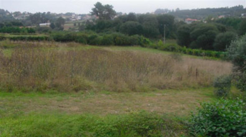 La Coruña - Tarrío - 5000m2