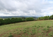 Land suitable for development for sale in Cambre ref: TR92960 photo