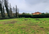 Land suitable for development for sale in A Cruz de Oleiros ref: TR98819 photo