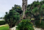 Land suitable for development for sale in A Cruz de Oleiros ref: TR98819 photo