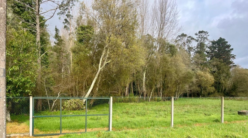 La Coruña - Carballo - 8782m2