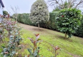 Xalet independent amb terreny en venda a Culleredo ref.: TR380384 foto