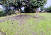 Xalet independent amb terreny en venda a Culleredo ref.: TR380384 foto