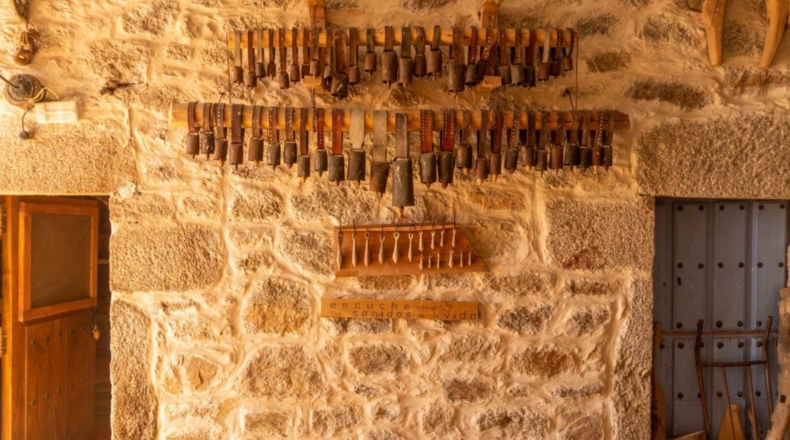 Zamora - Pereruela - 1469m2